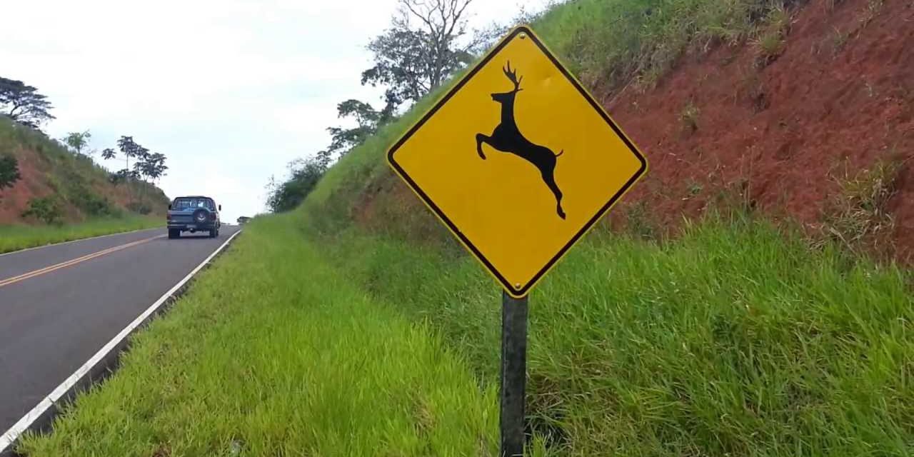 8c2b81140bbcdeeb0b1d43c447ab6e3a